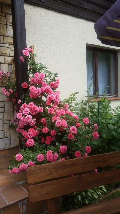 Apartament Jodlowy Szczyrk Bagian luar foto